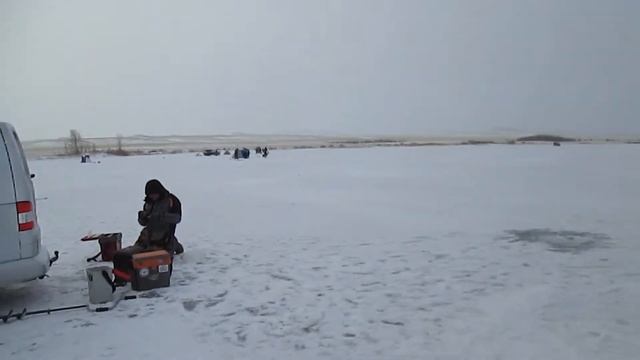 щука на блесну