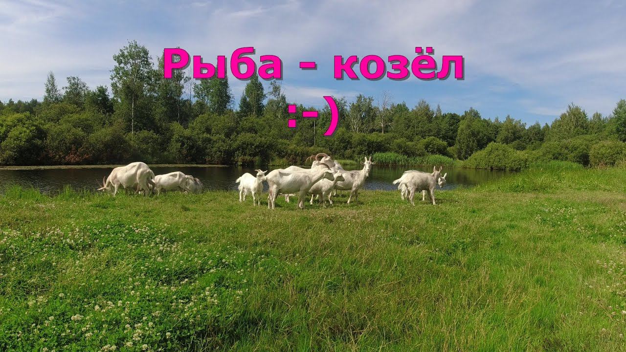 #437 #мормышинг | Озеро - река | смотреть онлайн