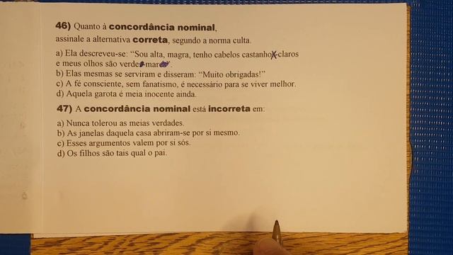 Concordância Nominal |Aula Completa| 90 Questões смотреть онлайн