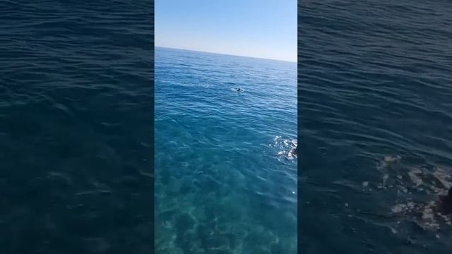 Турция, море в конце октября ❗ смотреть онлайн