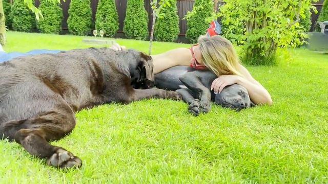 "Town Party" - find full video on silesto.com смотреть онлайн