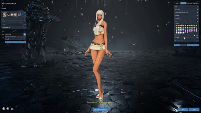 Blade And Soul - Preset #48 + 49  (Jin + Yun) UE4