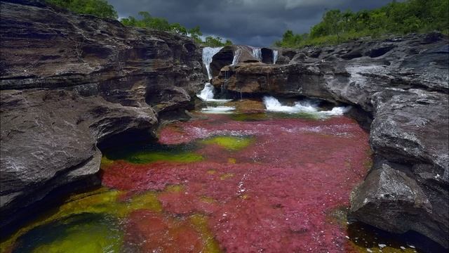 Свекровь отдала им ключи и больше в квартире не появлялась, а вот мать Марины старалась за двоих смотреть онлайн