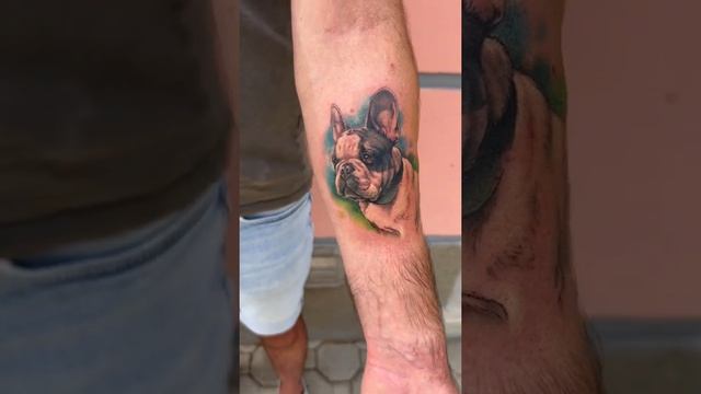 French bulldog Tattoo - Mikey - Forever смотреть онлайн