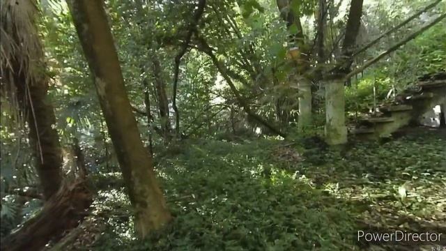 Колхида.Гагра.Забытый второй корпус.Лечебное отделение,о котором уже никто не помнит