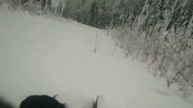 # МотоДог# толкач