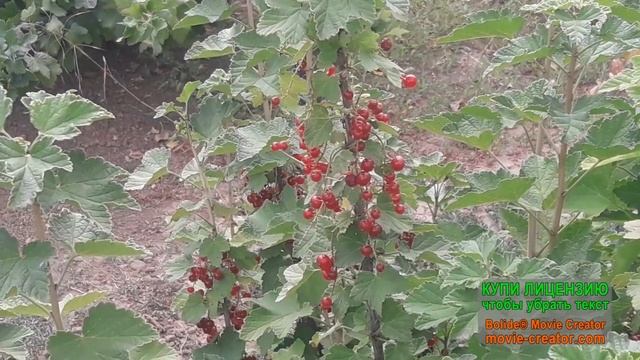 Молния ударила в столб на котором весел электросчетчик смотреть онлайн