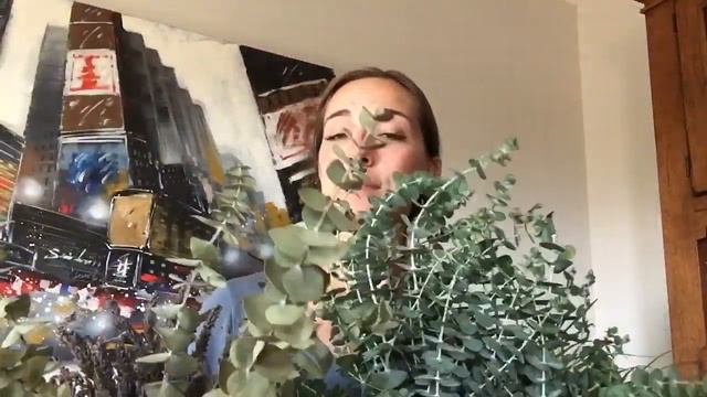 Baby blue eucalyptus смотреть онлайн