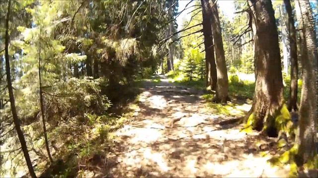 Allgäu Immenstadt Mountainbike/ Großer Alpsee Trails Inkl. GPS/ By Hobby-Biker