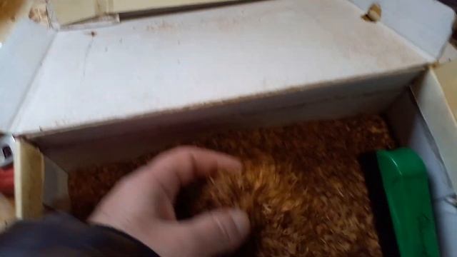 Станичная Судоверфь смотреть онлайн