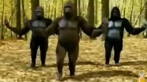 Не женюсь я, не женюсь, ой мама не женюсь. !!! прикольн