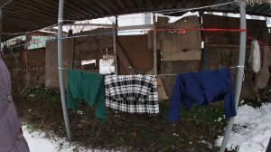 Скупили все у бабушки