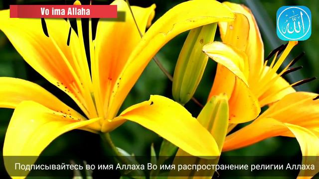 ДРУЖБА между мужчиной и женщиной в исламе. ЭТО ВОЗМОЖНО?

25 сентября 2018 г.