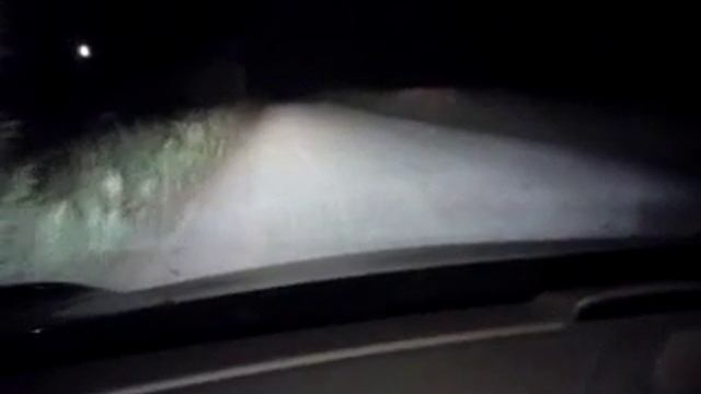 совы в подмосковье.MP4 смотреть онлайн