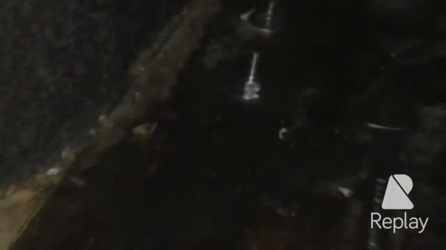 Пневморессоры на Peugeot Expert-gruz