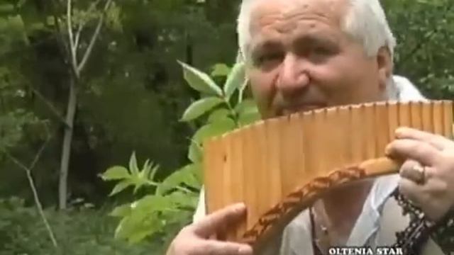 Stefan Popescu - Suita sarbe Gorjenesti (Video Original). смотреть онлайн
