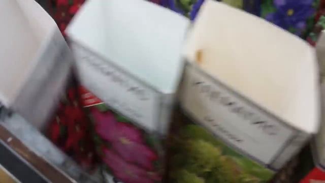 Всё, что вы спрашиваете про клематисы смотреть онлайн