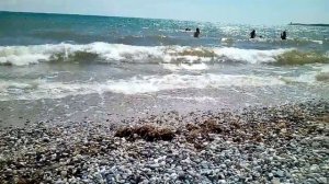Покупайте билеты на море и отдыхайте