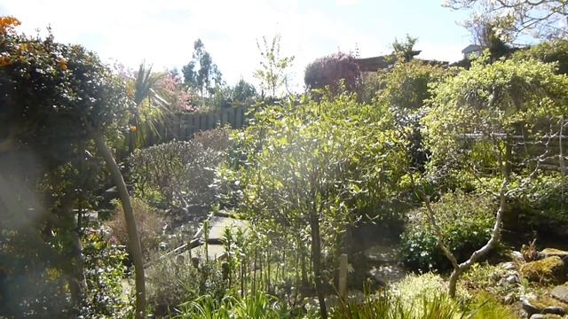 101 Greenbank Crescent, Edinburgh on 27 April смотреть онлайн