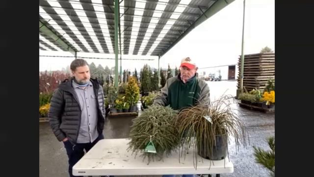 Iseli Nursery NNBA PK Presentation 2021