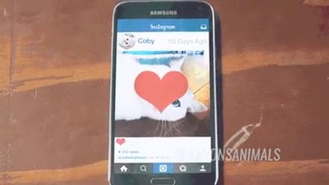 Когда случайно поставил лайк смотреть онлайн