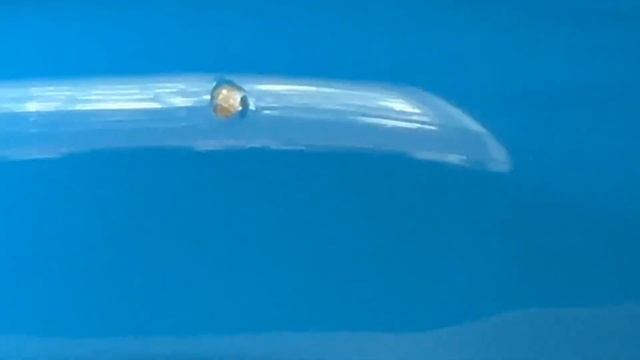 2/15/24 - 2002 Blue Fender Squier Stratocaster Misaligned Pick Guard Holes Fixed With ONE Toothpick смотреть онлайн