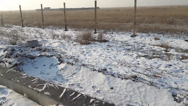 заехал на стройку проверить фундамент и увидел небольшой сюрприз смотреть онлайн