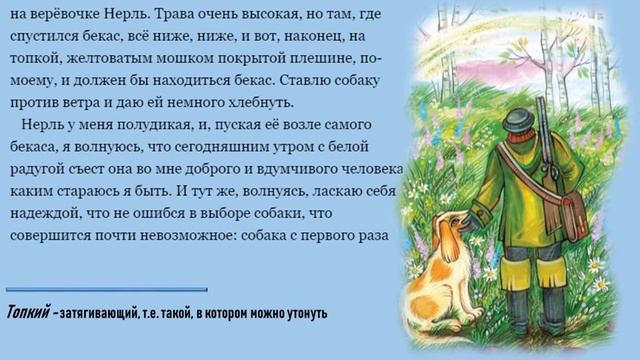 Литературное чтение. Михаил Пришвин 
