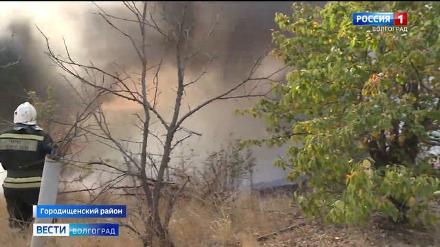 Пожарные несколько часов боролись с огнем в дачном массиве под Волгоградом смотреть онлайн