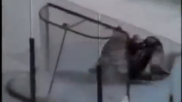 Bad angle goal from Igor Larionov vs Blackhawks and Ed Belfour (29 nov 1991) смотреть онлайн