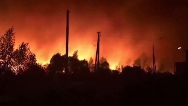 Лесные пожары: это не Калифорния, это Воронежская область! 25-28 сентября 2020 года смотреть онлайн