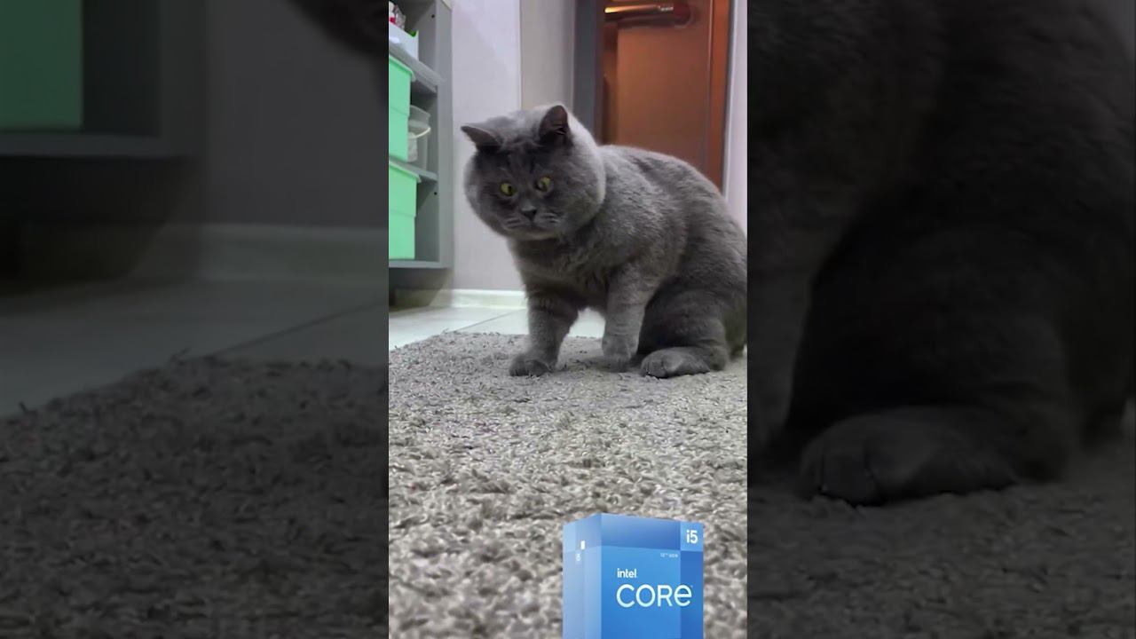 Кот intel 12400 F смотреть онлайн