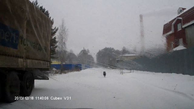 заяц и собака))) cut смотреть онлайн