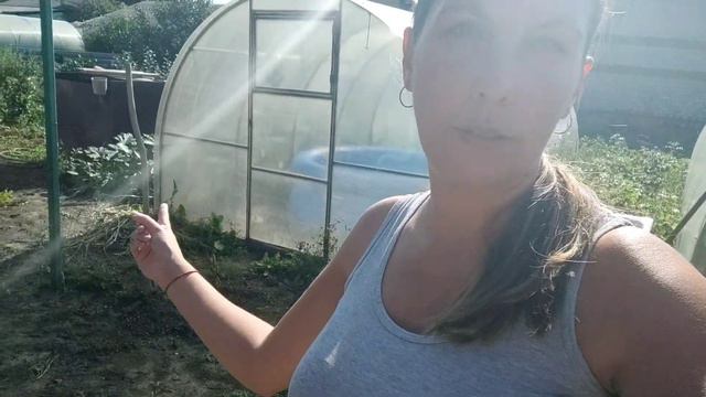 VLOG 17.08.2021 Заморозила стручковую фасоль, это было не просто...Картофель подрос.... смотреть онлайн