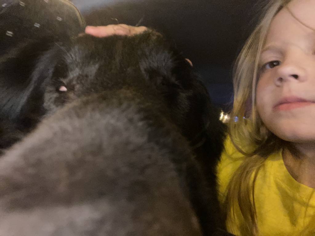 Хы смотреть онлайн