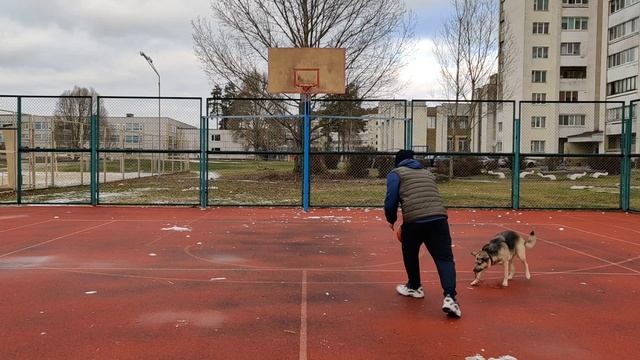 Путь к хорошей форме Баскетбол. С любимой собакой на площадке играем в баскетбол смотреть онлайн