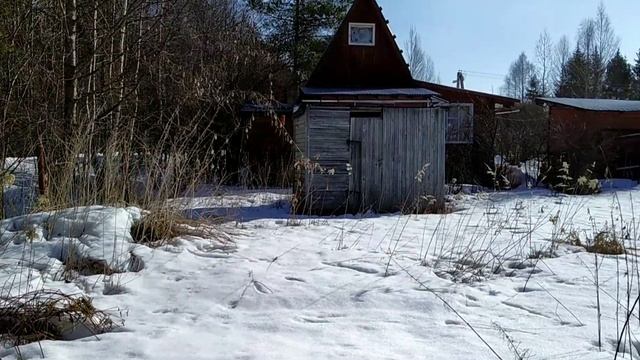 Хочу дачу, смотрю участок! смотреть онлайн