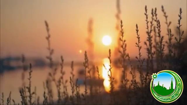 Этикет разговора (урок 4) смотреть онлайн