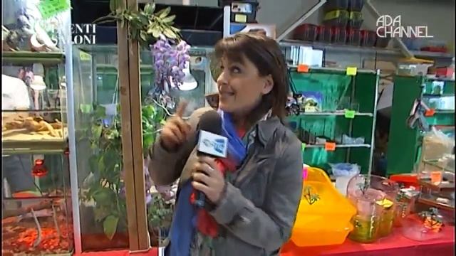 EVENTI&SALONI - FIERA DI PADOVA CAMPIONARIA 2012 смотреть онлайн