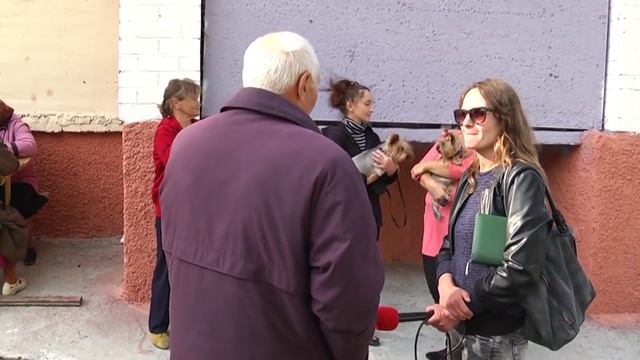 Дворняги смотреть онлайн