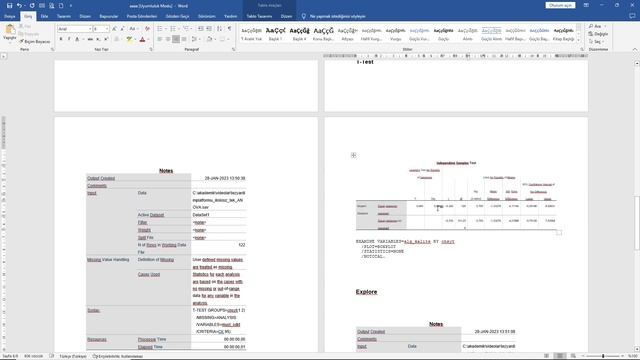 SPSS Raporlarını Word, PDF, Excel, PowerPoint ve Paylaşılabilir Web Sayfası Olarak Kaydetme смотреть онлайн