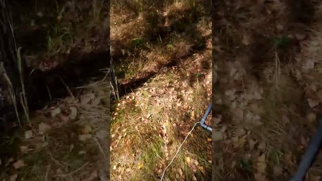 Дельта пульс настройка , полевые испытания. смотреть онлайн