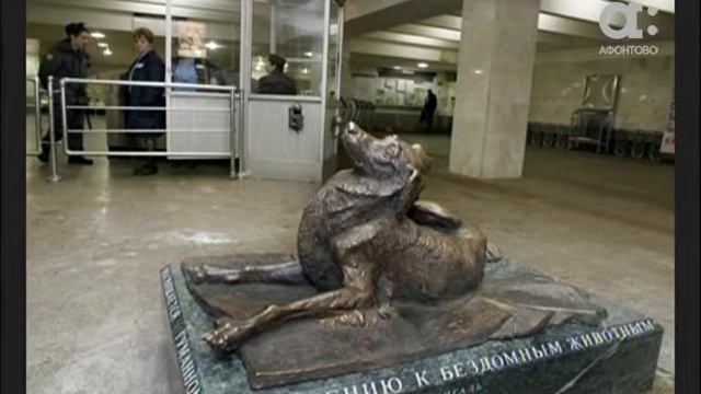 Включение. Памятник собаке смотреть онлайн