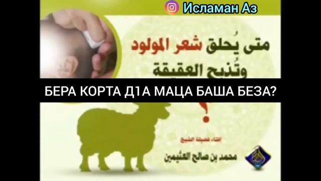 БЕРА КОРТА Д1А МАЦА БАША БЕЗА? смотреть онлайн