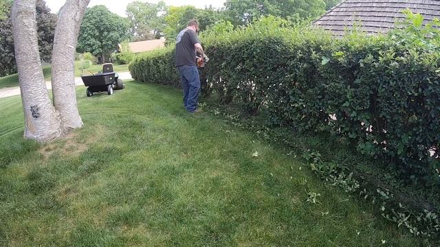 STIHL HS45 Hedge Trimmer