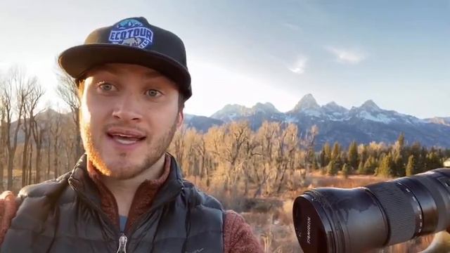 Wildlife Wednesday Weekly Roundup- Week Of November 25th, 2020