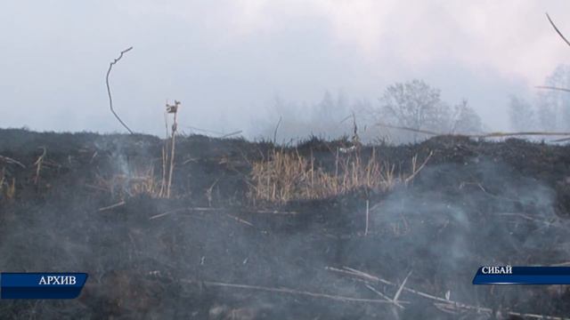 Опасность лесных пожаров смотреть онлайн