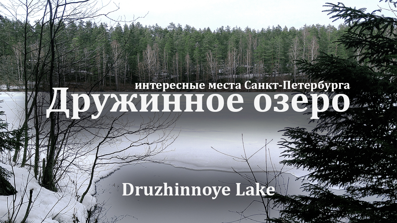 Поход выходного дня в окрестностях Питера. Озеро Дружинное.
