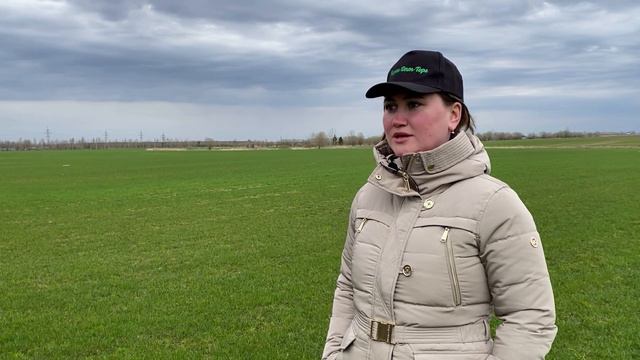 Начало срезки газона