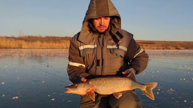 Рыбалка на хищника в декабре, сработки одна за одной. смотреть онлайн